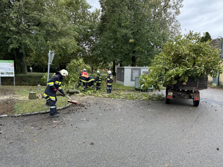 Hochwassereinsätze 13.09 – 15.09.2024
